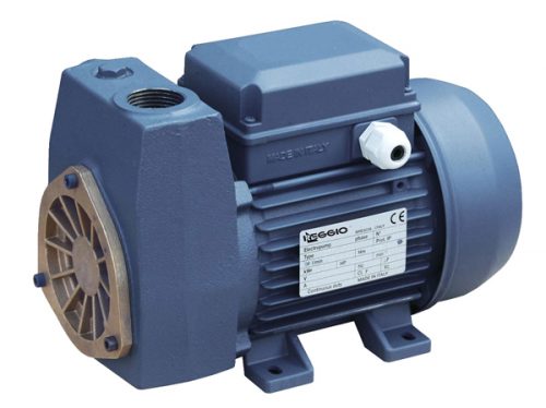 Bombas autocebantes de anillo líquido Reggio Mod STAL 100